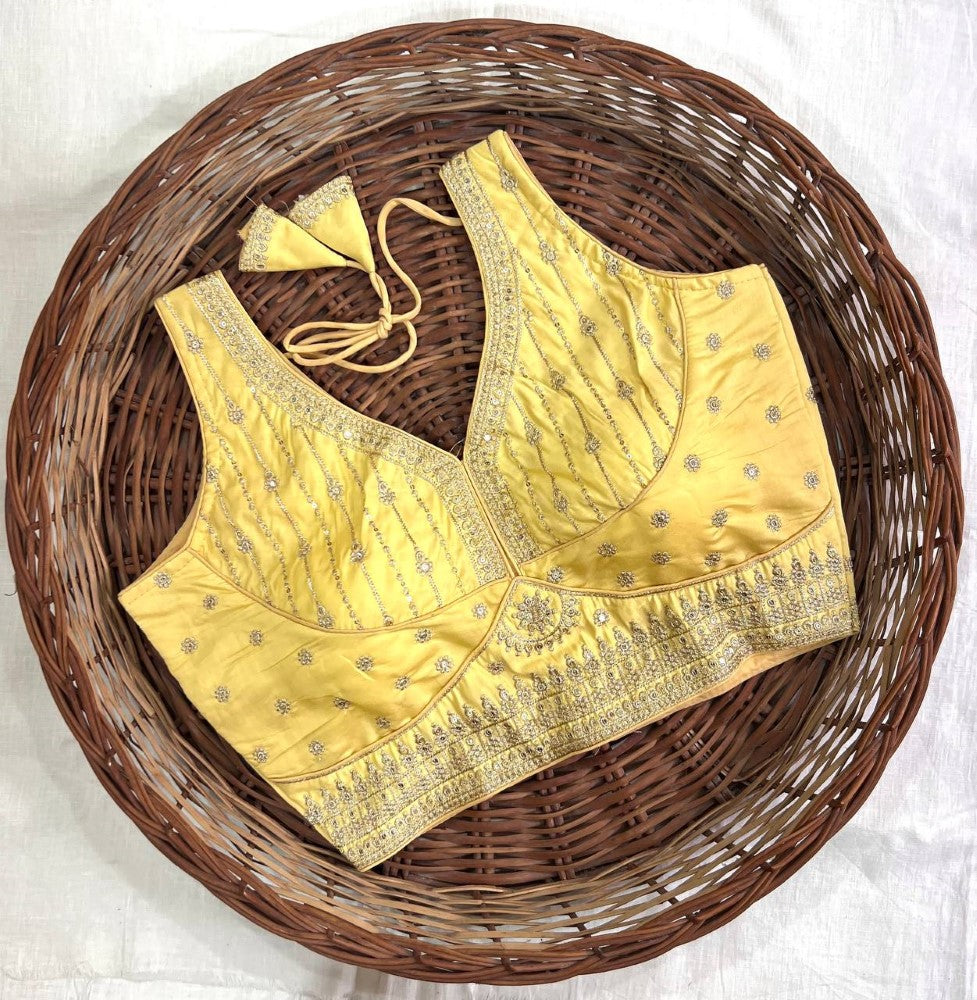 Deep v neck Sleeveless blouse Thread with sequence work Women wear Padded Saree blouse