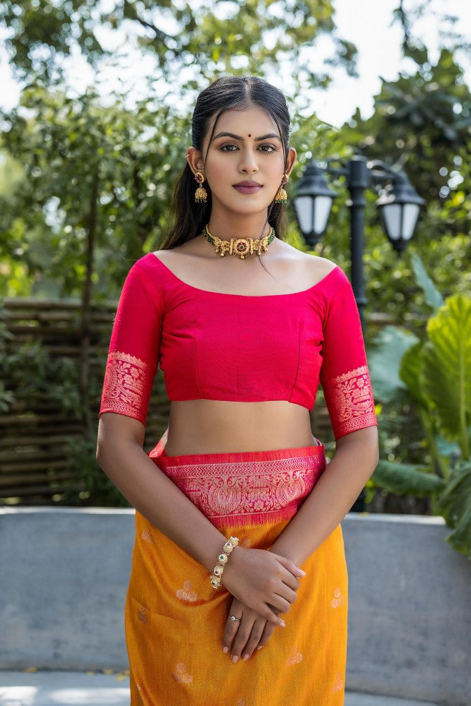 Soft banarasi raw silk saree Zari woven border with fancy tassels saree Women wear saree blouse